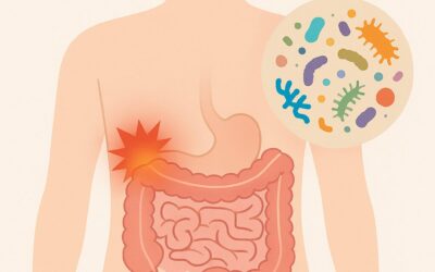 Gut Inflammation and the Microbiome: How an Unhealthy Gut Triggers Chronic Disease